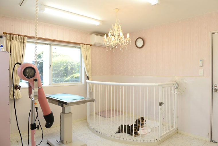 きそがわペットクリニック 写真5