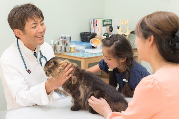 きそがわペットクリニック 写真6