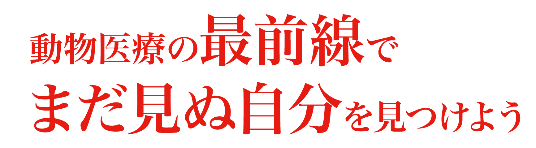 動物医療の最前線でまだ見ぬ自分を見つけよう