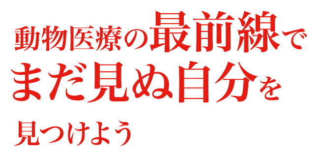 動物医療の最前線でまだ見ぬ自分を見つけよう