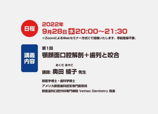 【Webinar】歯科学集中勉強会シリーズより第1回「顎顔面口腔解剖＋歯列と咬合」が開催されました（奥田綾子先生）