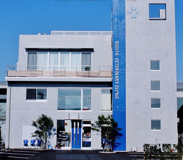 杉田動物病院